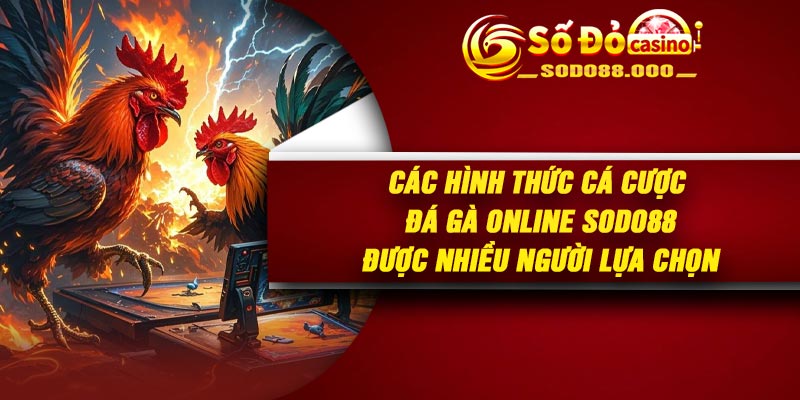 Các hình thức cá cược Đá gà online Sodo88 được nhiều người lựa chọn