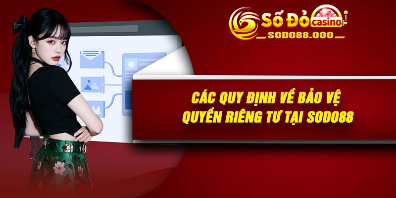 Các quy định về bảo vệ quyền riêng tư tại Sodo88