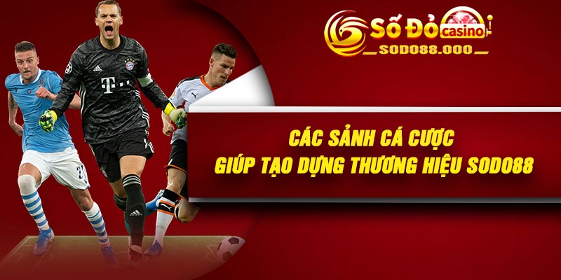 Các sảnh cá cược giúp tạo dựng thương hiệu Sodo88