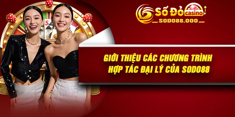 Giới thiệu các chương trình hợp tác đại lý của Sodo88