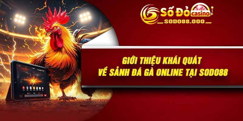 Giới thiệu khái quát về sảnh đá gà online tại Sodo88