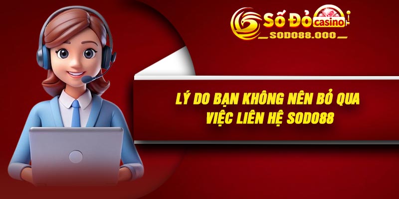 Lý do bạn không nên bỏ qua việc liên hệ Sodo88
