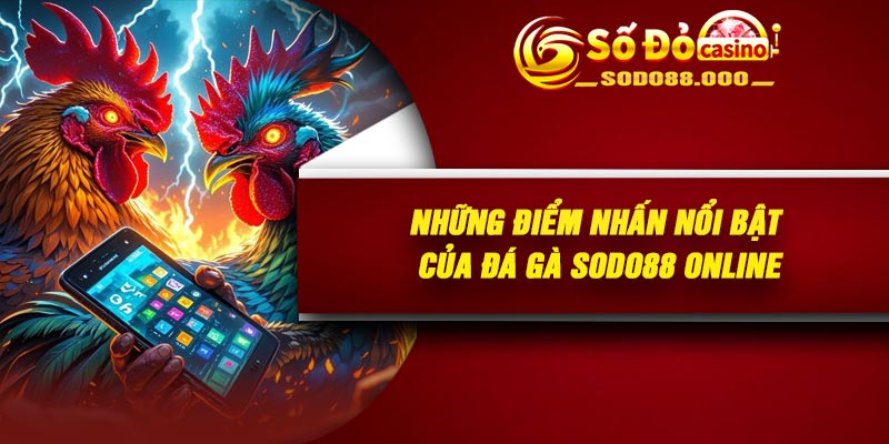 Những điểm nhấn nổi bật của đá gà Sodo88 online