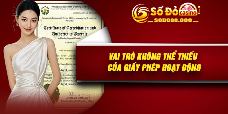 Vai trò không thể thiếu của giấy phép hoạt động