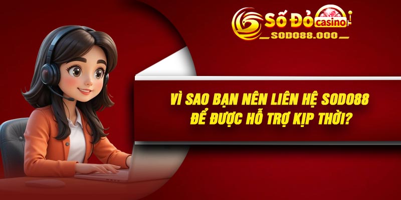 Vì sao bạn nên liên hệ Sodo88 để được hỗ trợ kịp thời?
