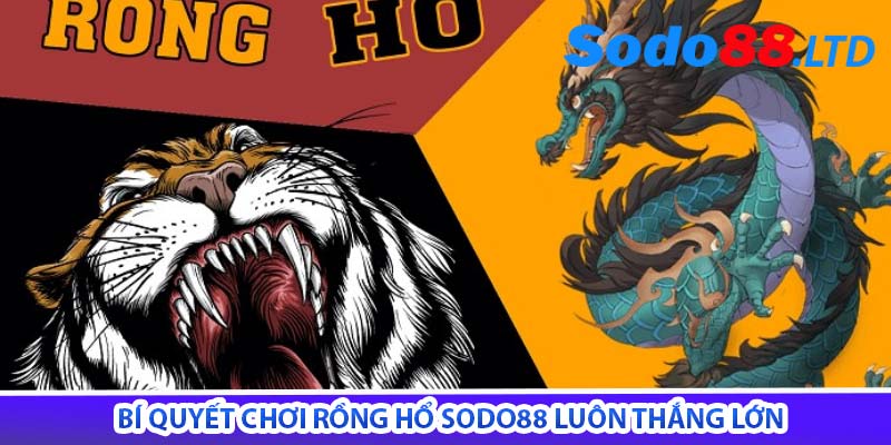 bí quyết chơi rồng hổ sodo88 luôn thắng lớn