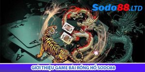 giới thiệu game bài rồng hổ sodo88