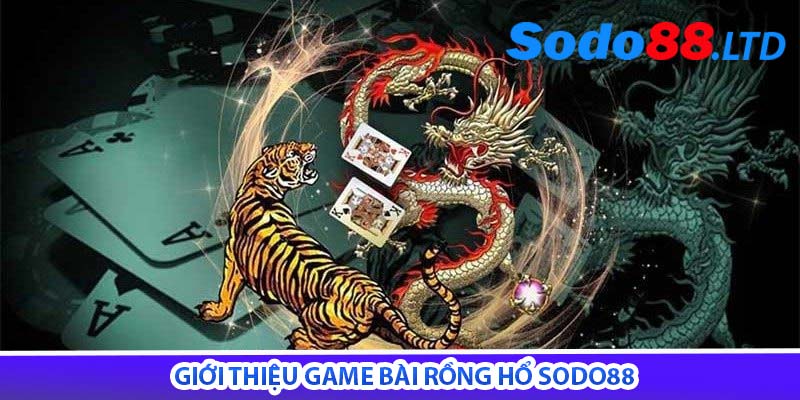 giới thiệu game bài rồng hổ sodo88