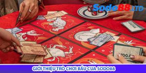 Giới thiệu trò chơi bầu cua sodo88