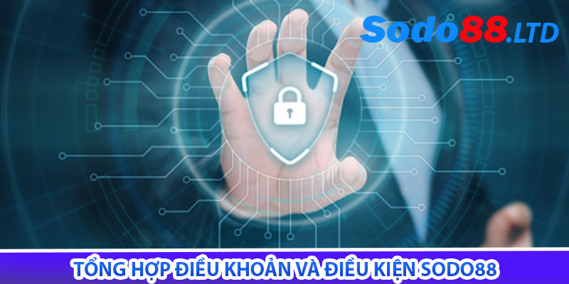tổng hợp điều khoản và điều kiện sodo88